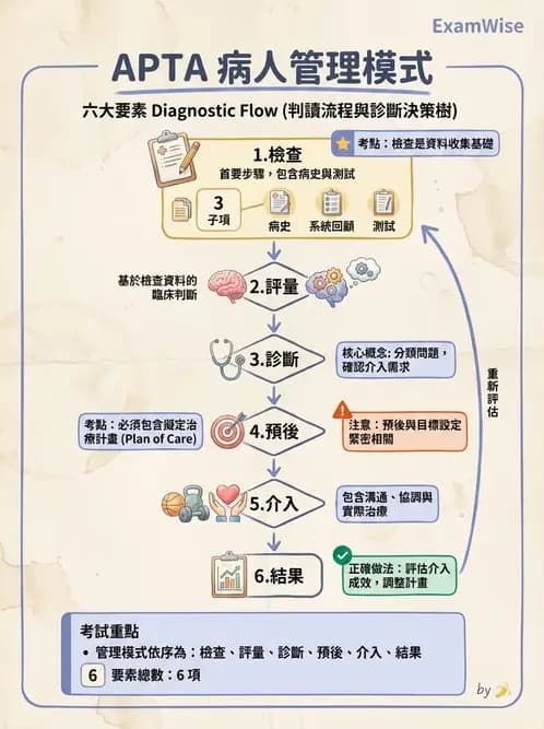 物治 - 專業組織與服務模式 - AI 圖文解析預覽