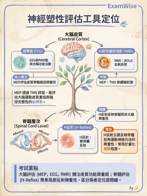 物治 - 神經退化性疾病 - AI 圖文解析預覽