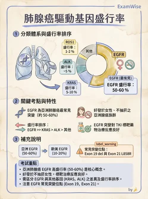 物治 - 腫瘤與其他臨床醫學 - AI 圖文解析預覽