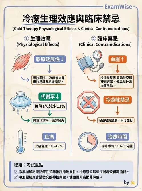 物治 - 溫度療法 - AI 圖文解析預覽