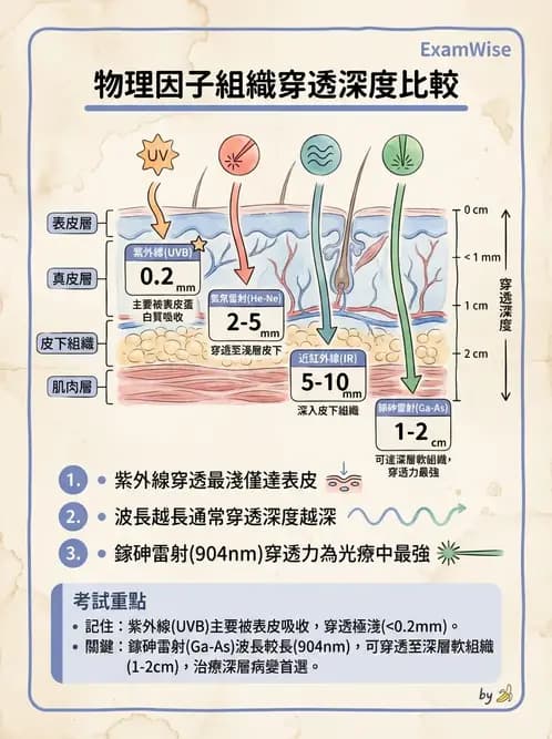 物治 - 紫外光 - AI 圖文解析預覽