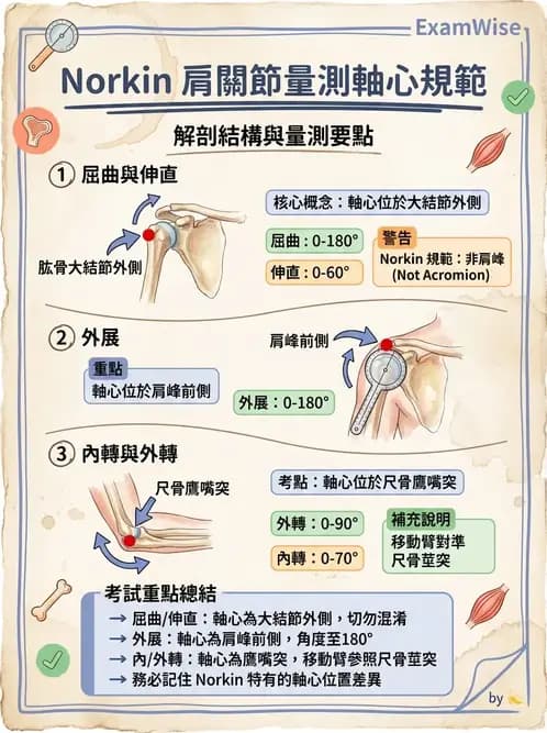 物治 - 上肢關節活動度 - AI 圖文解析預覽