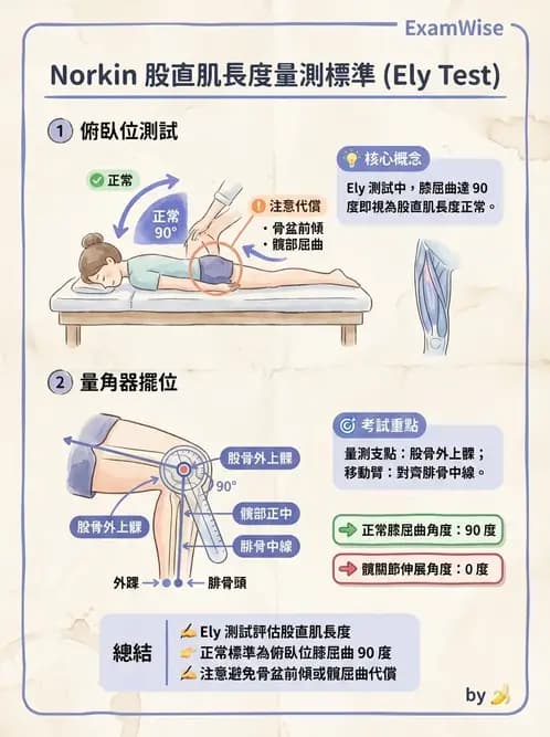 物治 - 下肢與脊椎關節活動度 - AI 圖文解析預覽