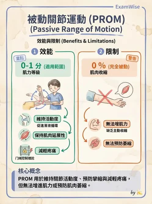 物治 - ROM通則與關節運動 - AI 圖文解析預覽