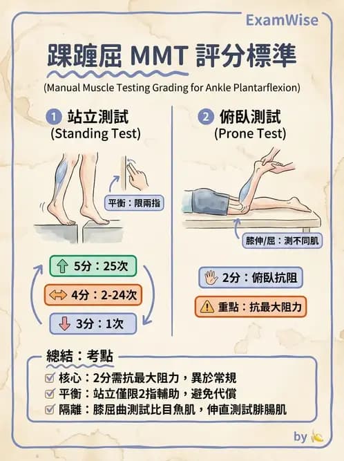物治 - 下肢徒手肌力測試 - AI 圖文解析預覽