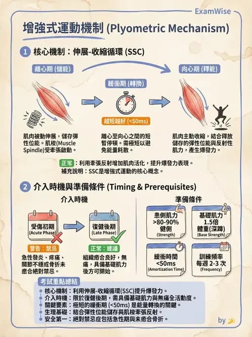 物治 - 核心穩定與功能性訓練 - AI 圖文解析預覽