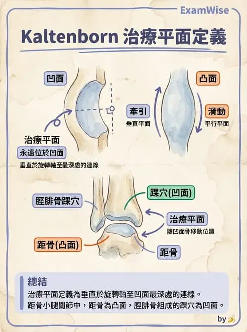 物治 - 鬆動術分級理論 - AI 圖文解析預覽