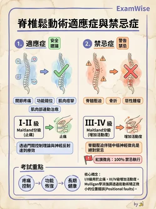 物治 - 脊椎鬆動術 - AI 圖文解析預覽