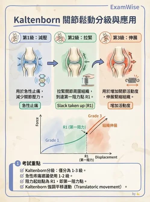 物治 - 鬆動術分級理論 - AI 圖文解析預覽