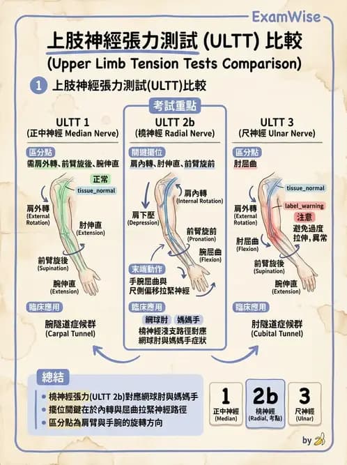 物治 - 神經鬆動術 - AI 圖文解析預覽