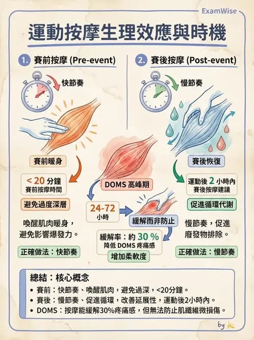 物治 - 瑞典式按摩與運動按摩 - AI 圖文解析預覽