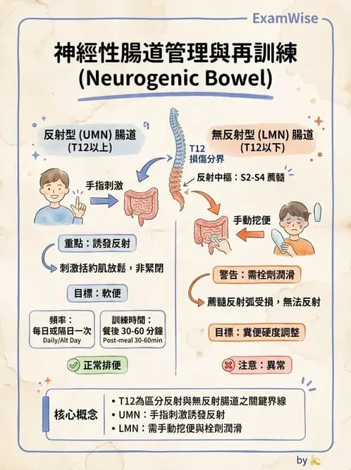 物治 - 功能評估與再教育 - AI 圖文解析預覽