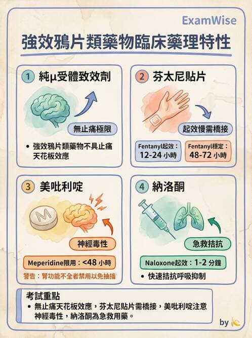 專師 - 疼痛控制與止痛藥物 - AI 圖文解析預覽