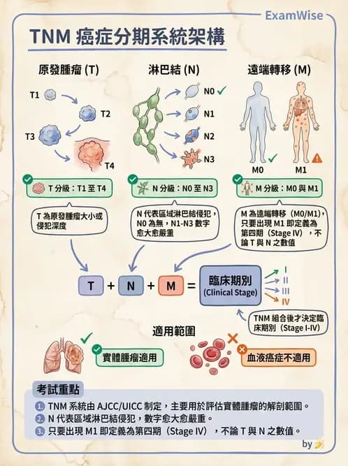 專師 - 腫瘤診斷與分期 - AI 圖文解析預覽