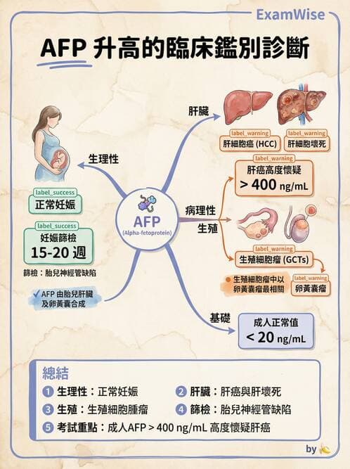 專師 - 腫瘤診斷與分期 - AI 圖文解析預覽