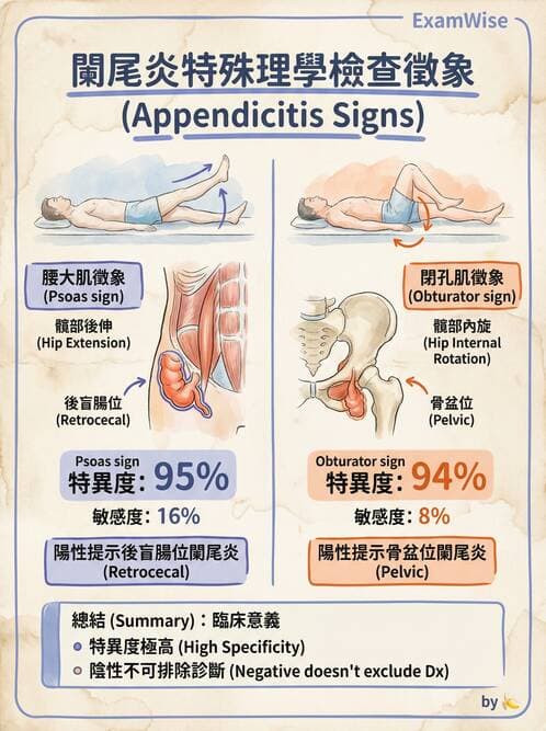 專師 - 腹部評估與急腹症 - AI 圖文解析預覽