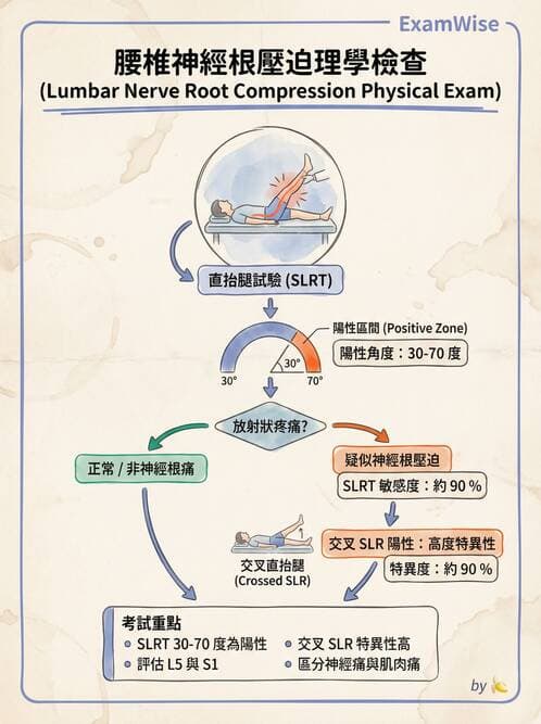 專師 - 脊椎疾病 - AI 圖文解析預覽
