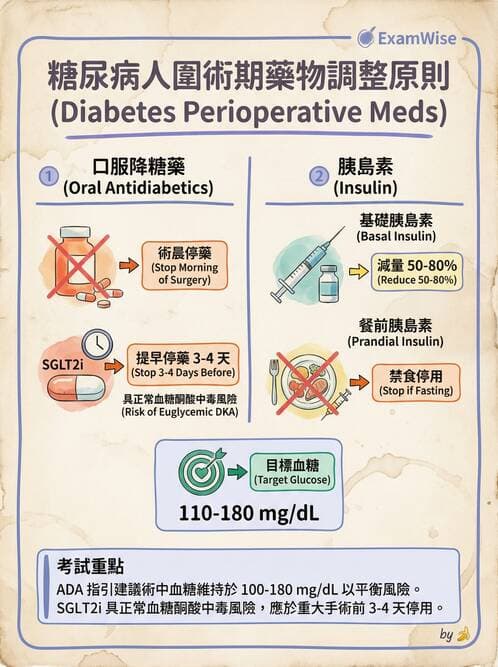 專師 - 胰島素治療與血糖管理 - AI 圖文解析預覽