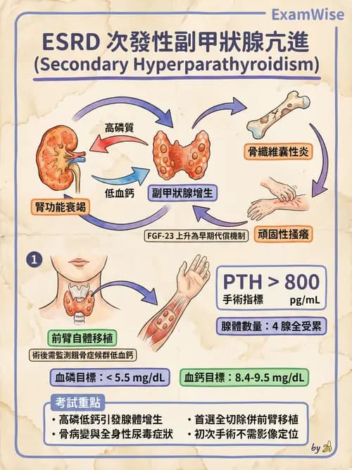 專師 - 慢性腎臟病與併發症 - AI 圖文解析預覽