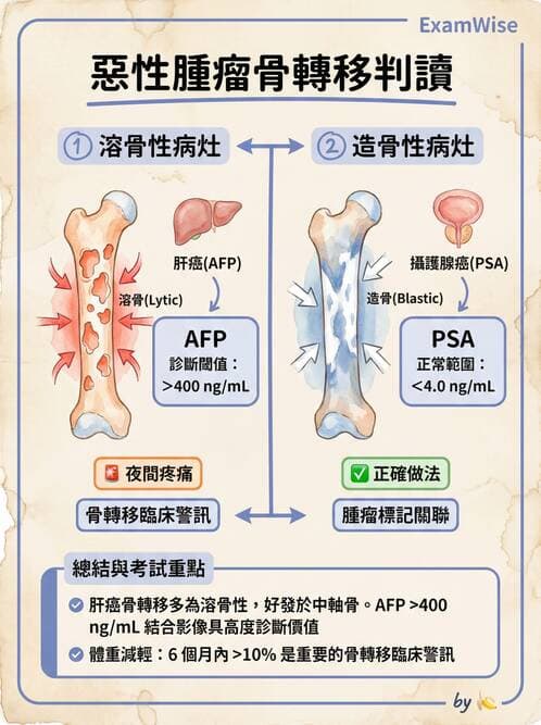 專師 - 腫瘤診斷與分期 - AI 圖文解析預覽