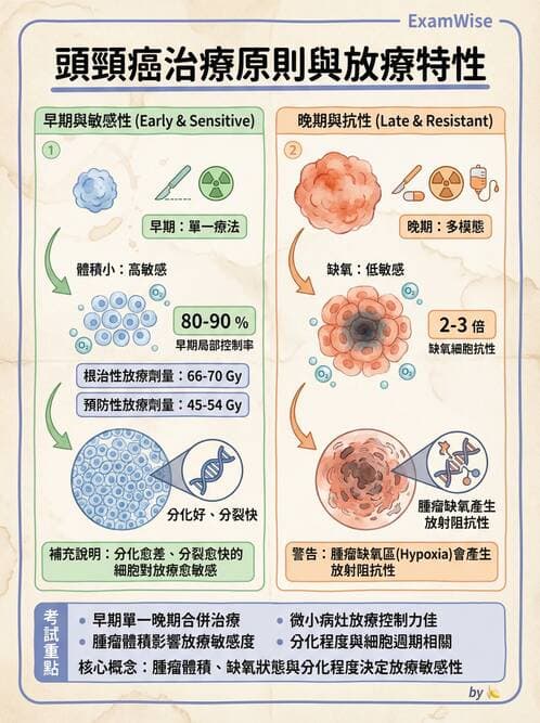 專師 - 頭頸腫瘤與甲狀腺 - AI 圖文解析預覽