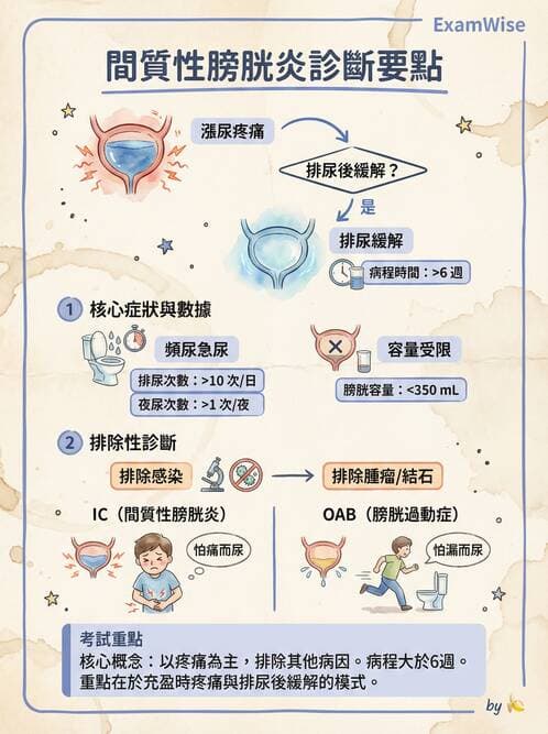 專師 - 泌尿道感染 - AI 圖文解析預覽