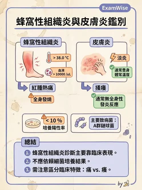 專師 - 皮膚軟組織感染 - AI 圖文解析預覽