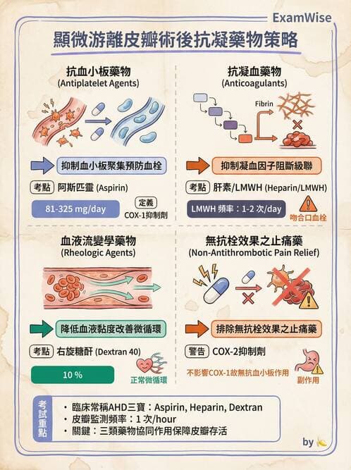 專師 - 皮膚移植與疤痕 - AI 圖文解析預覽