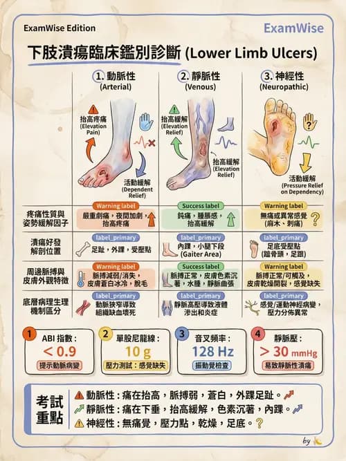 專師 - 壓瘡與慢性潰瘍 - AI 圖文解析預覽