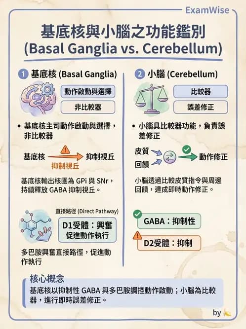 物治 - 動作控制理論 - AI 圖文解析預覽
