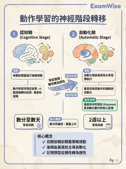 物治 - 動作學習 - AI 圖文解析預覽