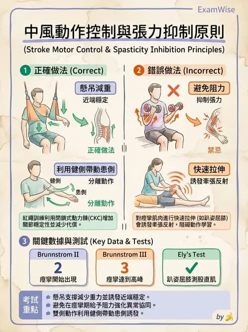 物治 - 腦中風治療手法應用 - AI 圖文解析預覽