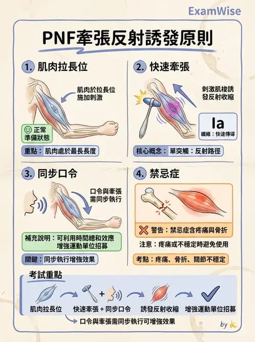 物治 - 神經治療學派技術 - AI 圖文解析預覽