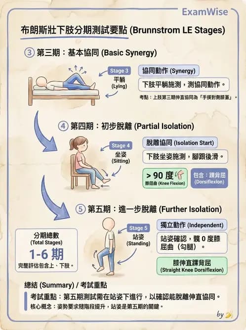 物治 - 腦中風動作評估與分期 - AI 圖文解析預覽