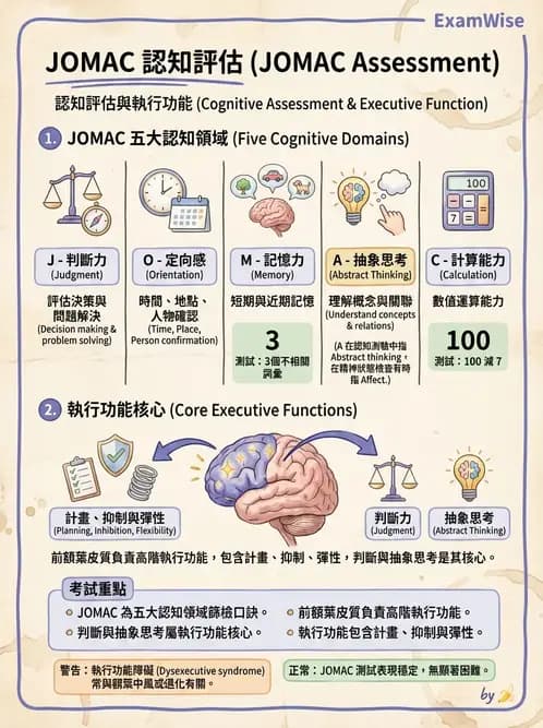 物治 - 腦中風感覺知覺與認知 - AI 圖文解析預覽