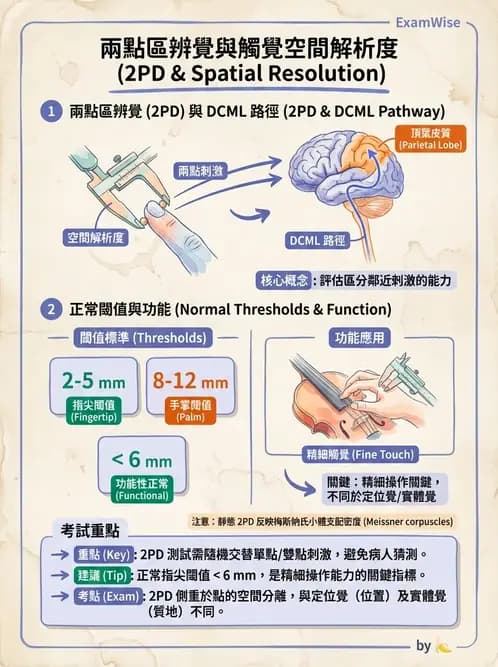 物治 - 腦中風感覺知覺與認知 - AI 圖文解析預覽
