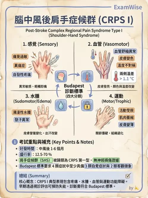 物治 - 腦中風上肢肩部與體適能 - AI 圖文解析預覽