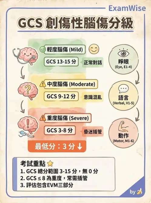 物治 - TBI病理評估與GCS - AI 圖文解析預覽