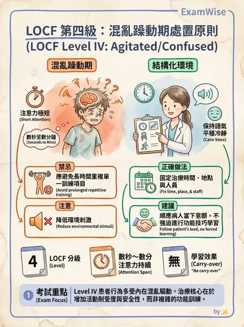 物治 - TBI LOCF分級與復健 - AI 圖文解析預覽