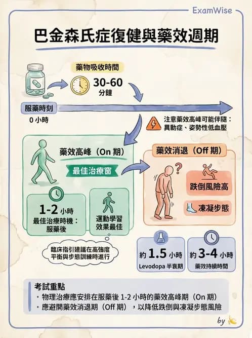 物治 - 巴金森氏病物理治療 - AI 圖文解析預覽
