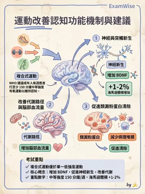 物治 - 失智症與認知退化 - AI 圖文解析預覽
