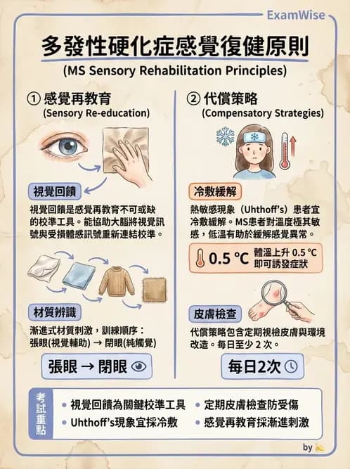 物治 - 多發性硬化症物理治療 - AI 圖文解析預覽