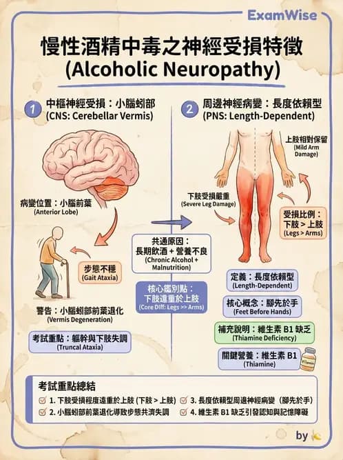 物治 - 運動神經元疾病與其他中樞疾病 - AI 圖文解析預覽