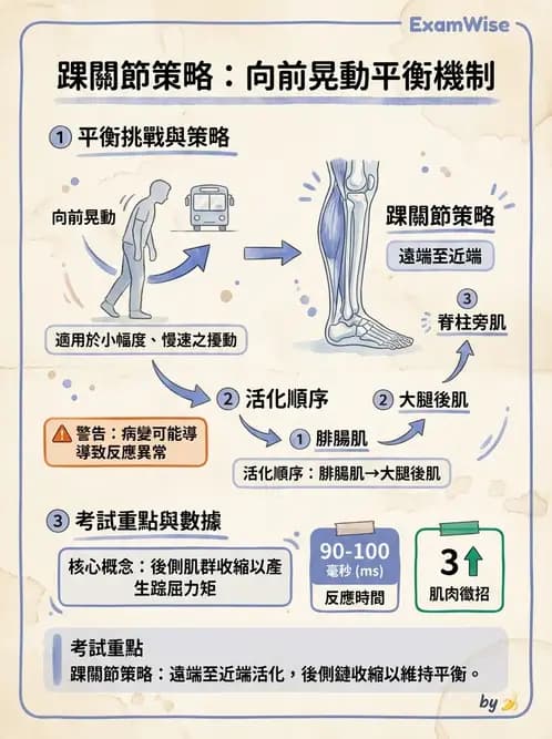 物治 - 動作控制理論 - AI 圖文解析預覽