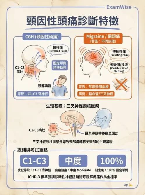 物治 - 頸椎評估與病理 - AI 圖文解析預覽