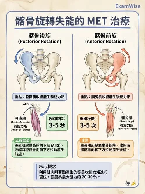 物治 - 薦髂關節評估與治療 - AI 圖文解析預覽