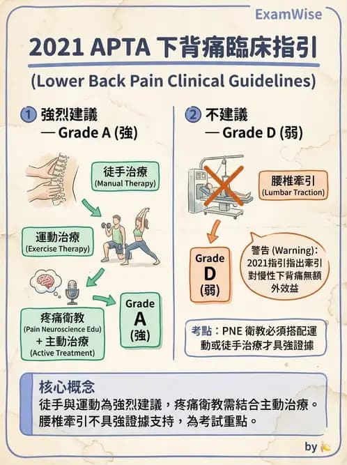 物治 - 腰椎穩定訓練與治療原則 - AI 圖文解析預覽
