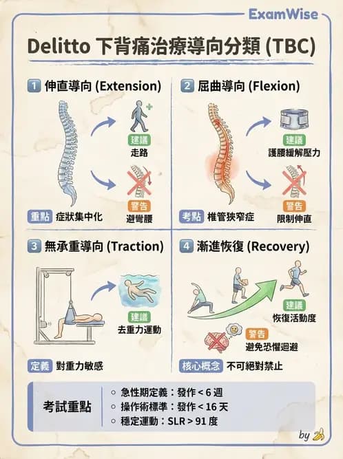 物治 - 腰椎穩定訓練與治療原則 - AI 圖文解析預覽