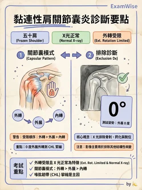 物治 - 冰凍肩與胸廓出口症候群 - AI 圖文解析預覽
