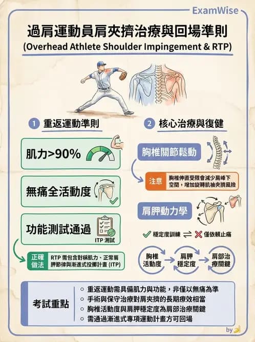 物治 - 肩關節夾擠與旋轉肌袖 - AI 圖文解析預覽
